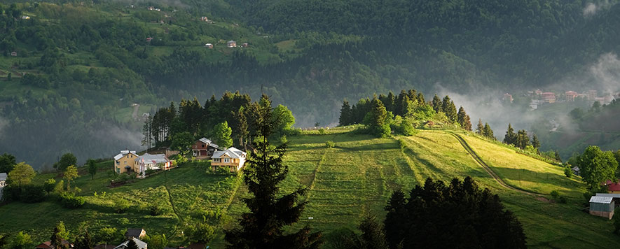 Real Estate in Trabzon